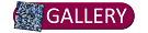Galera